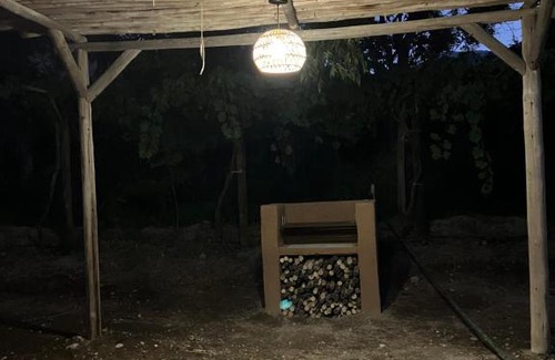 Vicuna Other | Glamping Viñas de Elqui