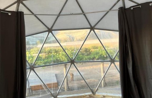 Vicuna Other | Glamping Viñas de Elqui