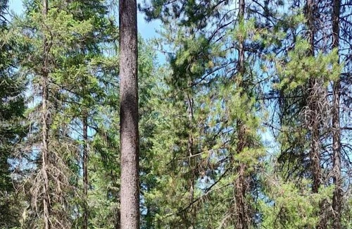 Olney RV Rental | Glamping Wall Tent 4/ Unfurnished