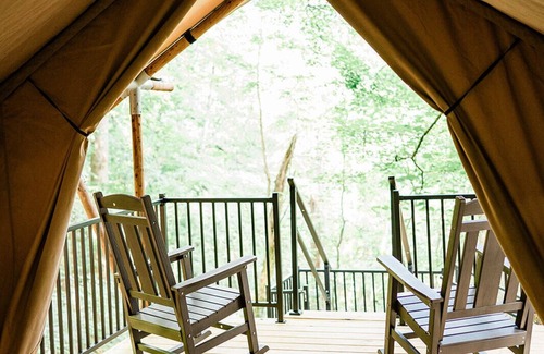 Knoxville RV Rental | GlampKnox - Tree Solo