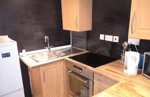Glasgow Apartment | Glasgow Hampden Garden Apartment