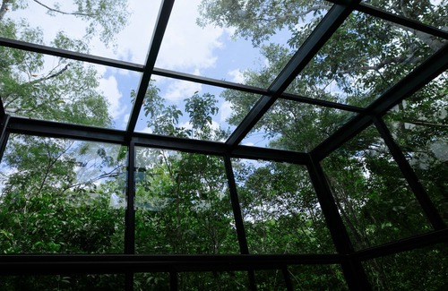 Leona Vicario Cottage | Glass 20.87