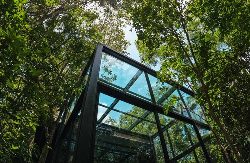Leona Vicario Cottage | Glass 20.87