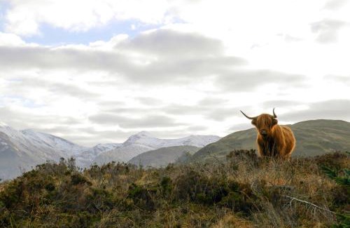 Fort William Resort | Glen Nevis Holidays