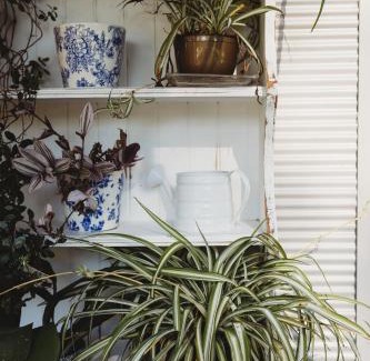 Middle Brook Apartment | Glenoak Cottage