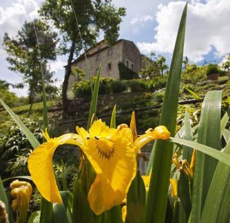 Todi Apartment | Gli Appartamenti Di Torre Bertona