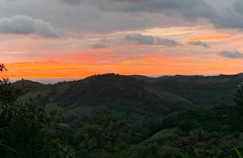 Monteverde Bed & Breakfast | Globi lodge #2