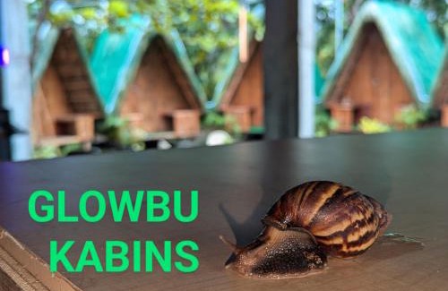 San Juan Other | Glowbu Kabins