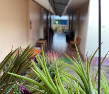 Downtown Krabi Hotel | Go Gear Travel & Bungalow