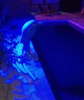 Portal da Ferradura House | GO Hotelaria