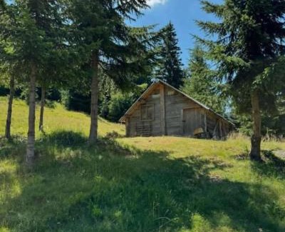 Montenegro Ski Chalet | Goca Čakorski Konaci