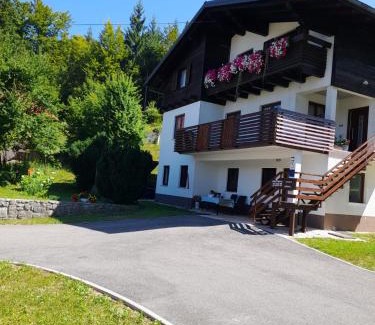 Delnice Apartment | Gogo