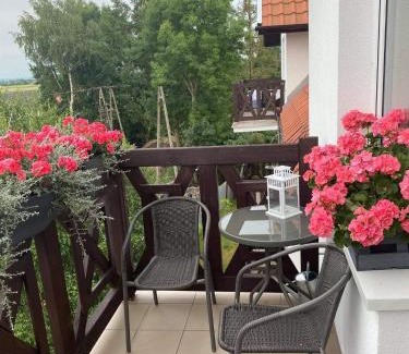 Sztutowo Apartment | GOJA