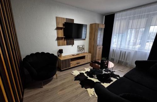 Kedainiai Apartment | Gold & Black