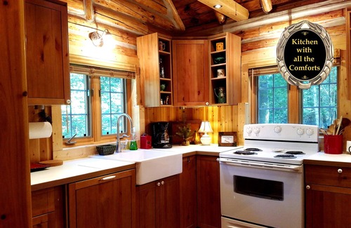 Luzerne Cabin | Gold Fox Lodge - Romantic Riverfront Log Cabin - A Piece of Michigan History!