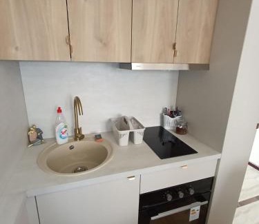 Kragujevac Apartment | Gold Studio