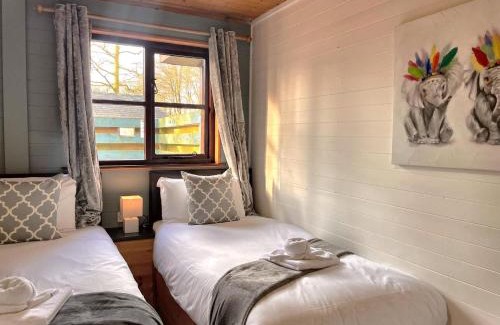 Llanybri Ski Chalet | Goldcrest 1-Hot Tub-Woodland Lodges-Carmarthenshire-Tenby