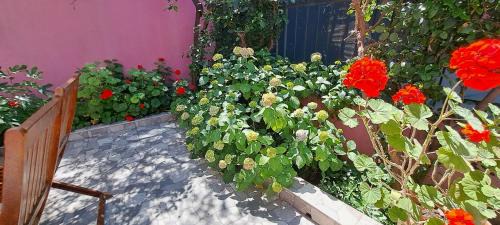 Sultanahmet Apartment | Golden Life Apart Hotel