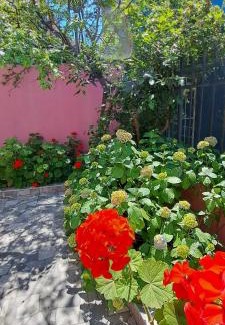 Sultanahmet Apartment | Golden Life Apart Hotel