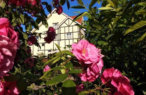 Mechnikov Resort | Golden Orchid Hotel