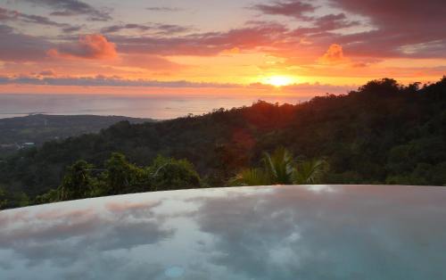 Ballena Hotel | Golden Pineapple Villas-Adults Only
