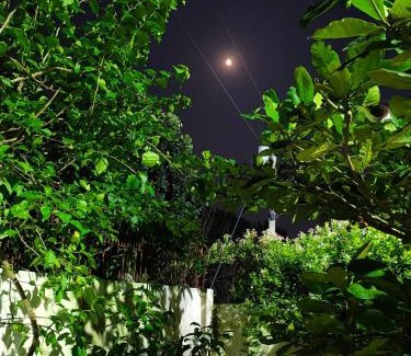 Kushtia Villa | Golpo Bari