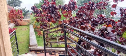 Kampala House | Good Times