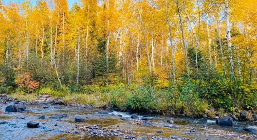 Two Harbors Apartment | Gooseberry Trailside Suites