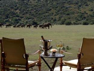 Addo Other | Gorah Elephant Camp