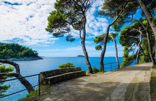 Cavtat Apartment | Gorgeous apartment Dora