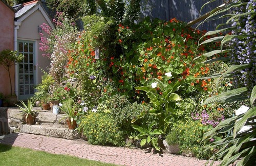 St Ives Cottage | Gorgeous artist's cottage with secluded garden and sea views from all rooms.