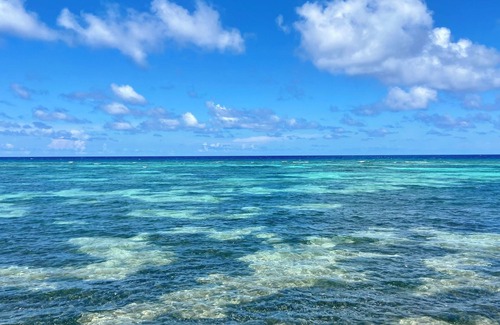 Colliers Bay Condo | Gorgeous Oceanfront 2BR/2BA unit on the secluded, peaceful East End - Sleeps 6