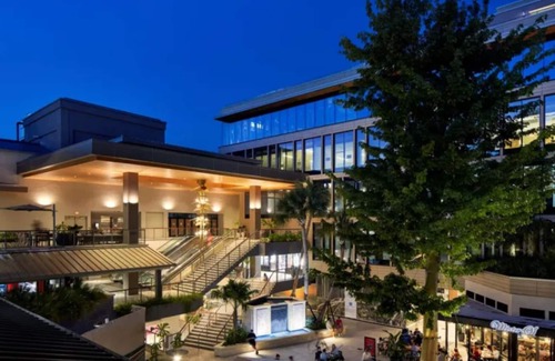 Coconut Grove Apartment | Gorgeous open plan 8th fl apartment with Bay, park, pool and Sailing club views.