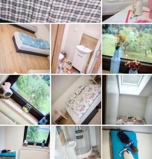 Zabor House | Gospodarstwo Zaborski Sad