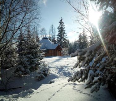 Vorokhta House | Gostynniy Dvir Raytshtoky