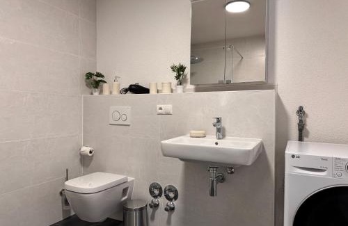 Ortenberg Apartment | Grüne Auszeit - zwischen Schwarzwald & Offenburg