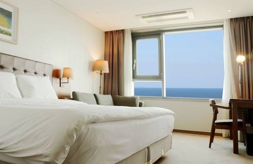 Downtown Hotel | Grabel Hotel Jeju