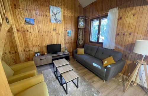 Barcelonnette Ski Chalet | Grand Chalet entre Barcelonnette et Praloup, 3 Chambres, Terrasse Ombragée, Accès Navette et Golf - FR-1-165A-121