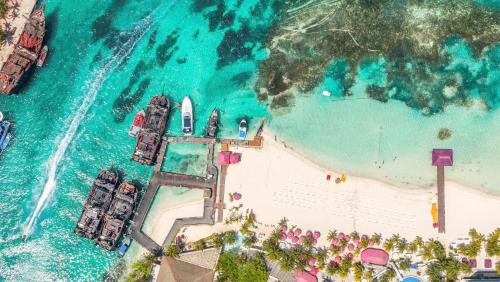 Zona Hotelera Resort | Grand Oasis Palm - All inclusive