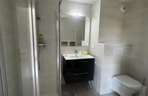 Allinges Apartment | Grand studio à Thonon, près du lac avec parking - FR-1-498-118
