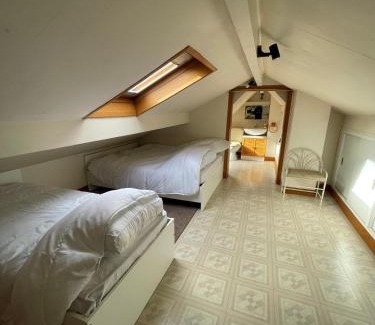 Le Blanc-Mesnil Bed & Breakfast | Grande maison avec jardin