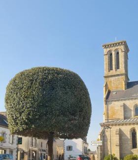 Nevez House | Grande Maison dans le Bourg de Nevez + jardin
