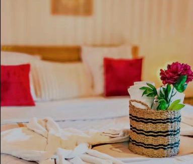 Montbouy House | Grande maison romantique avec jacuzzi intérieur & parking, à 1h30 de Paris