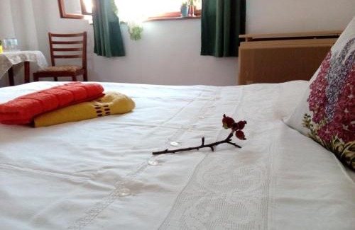 Sighisoara House | GrandPa's Room