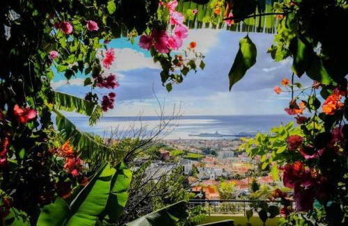 Imaculado Coracao de Maria House | Granny's house view
