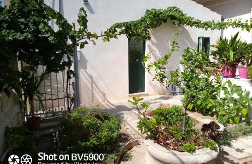 Santa Lucia Apartment | Graziella e Lucia