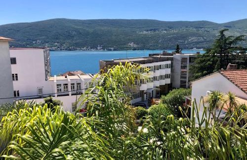 Herceg Novi Apartment | Great 1-Bedroom Private Apartment in Villa