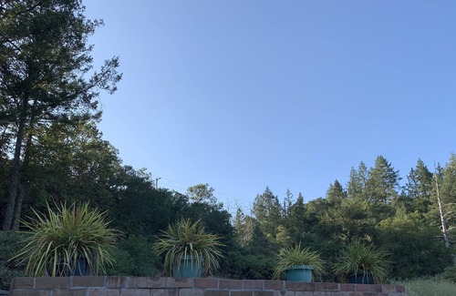 Santa Rosa Cabin | Great cabin located in the middle of wine country, St. Helena & Calistoga