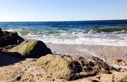 Dennis Port House | Great Cottage - Walk To The Beach! 97