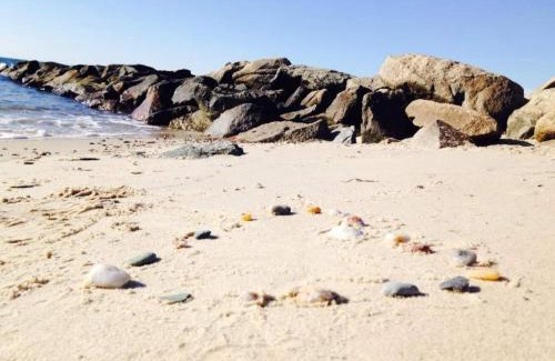 Dennis Port House | Great Cottage - Walk To The Beach! 97